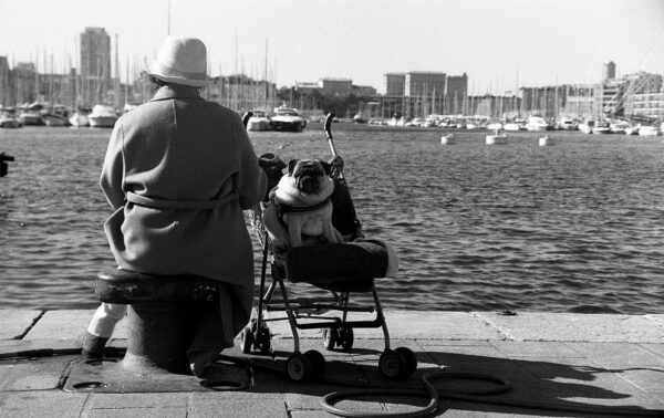 photo noir et blanc vieux port